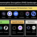 受VC热捧，一览FHE生态值得关注的项目缩略图