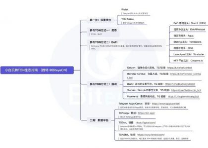 抓住早期红利 小白玩转TON生态必读攻略缩略图